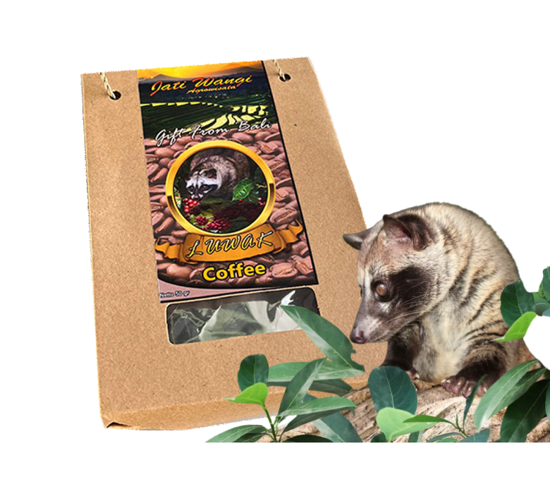 Authentic Luwak Coffee