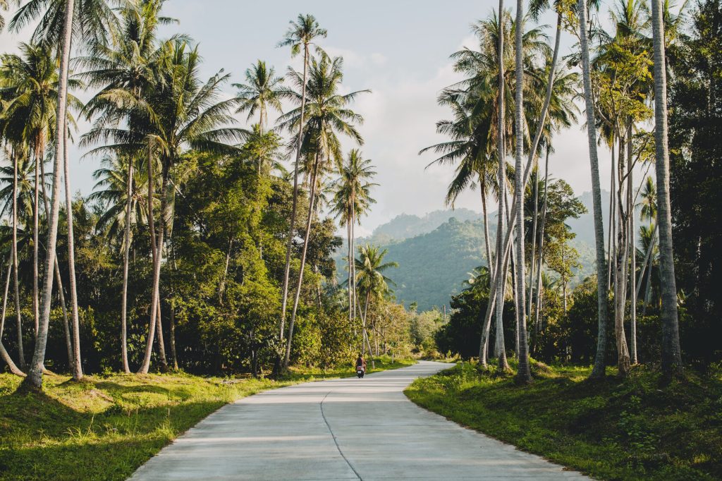 Tropical Bali Road